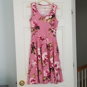 LuLaRoe Nicki dress